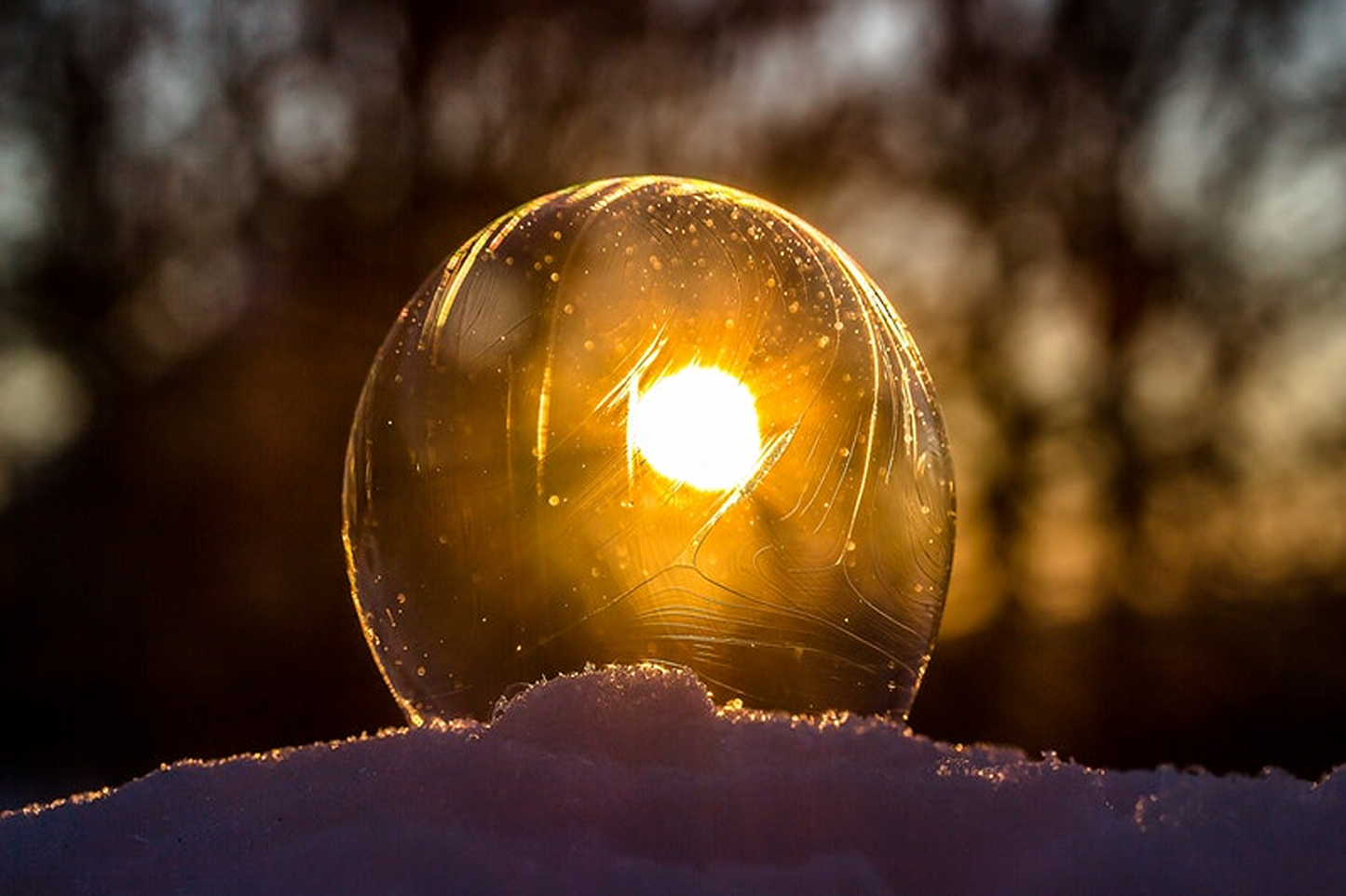 向神尋求啟示。